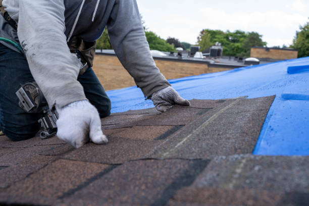 Roof Gutter Cleaning in Brisbane, CA