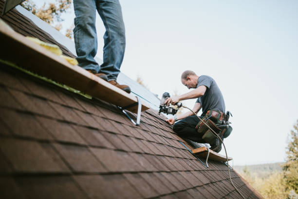 Best Local Roofing Companies  in Brisbane, CA